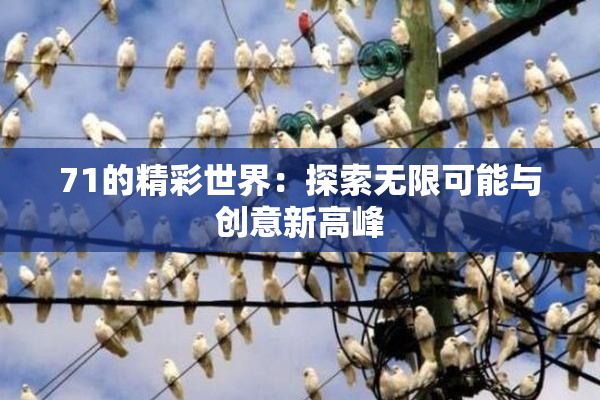 71的精彩世界：探索无限可能与创意新高峰