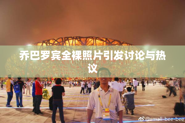 乔巴罗宾全裸照片引发讨论与热议