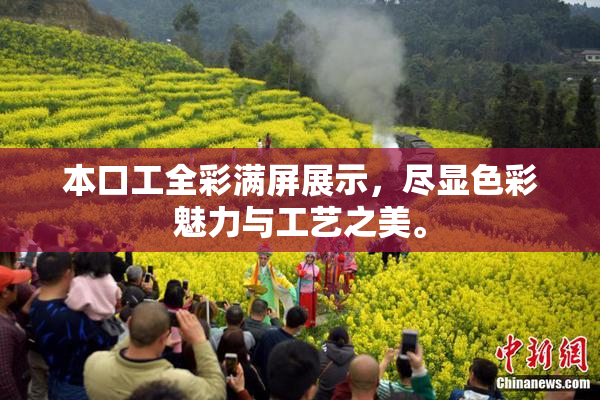 本口工全彩满屏展示，尽显色彩魅力与工艺之美。