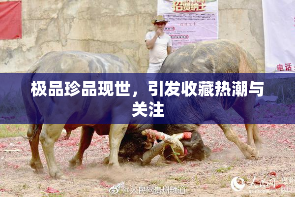 极品珍品现世，引发收藏热潮与关注