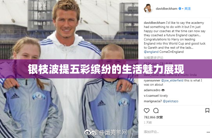 银枝波提五彩缤纷的生活魅力展现