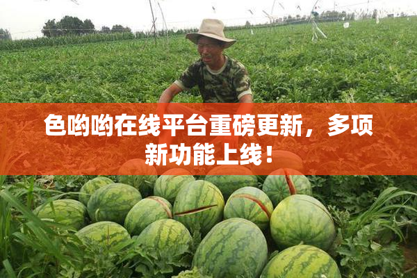 色哟哟在线平台重磅更新，多项新功能上线！