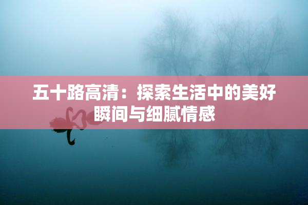五十路高清：探索生活中的美好瞬间与细腻情感