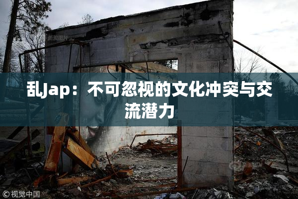乱Jap：不可忽视的文化冲突与交流潜力