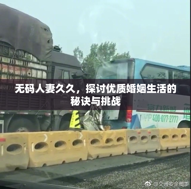 无码人妻久久，探讨优质婚姻生活的秘诀与挑战