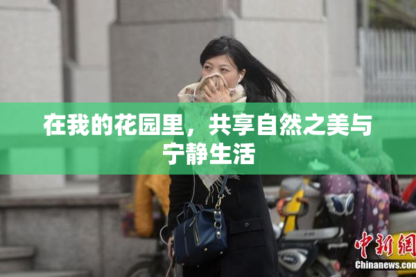 在我的花园里，共享自然之美与宁静生活