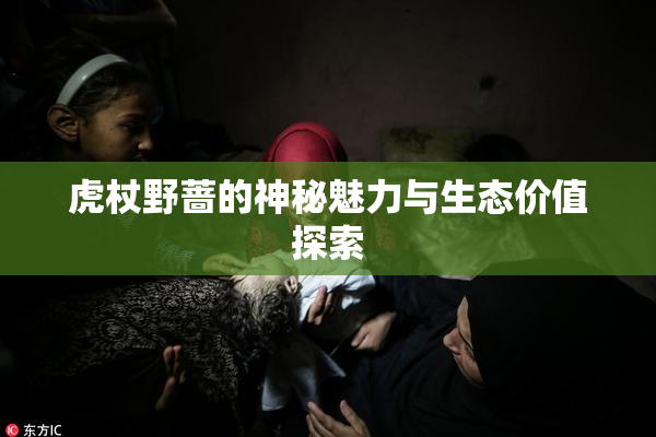虎杖野蔷的神秘魅力与生态价值探索