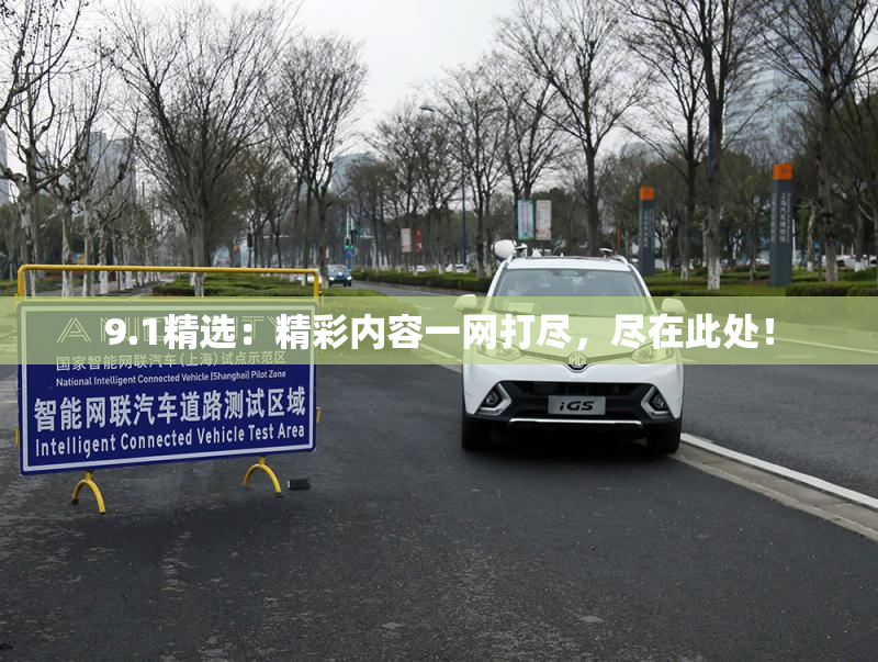 9.1精选：精彩内容一网打尽，尽在此处！