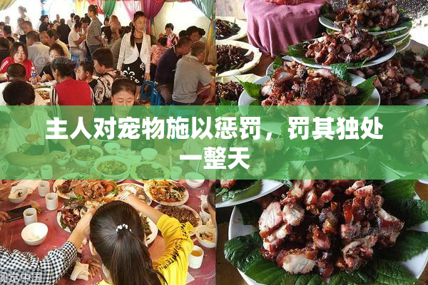 主人对宠物施以惩罚，罚其独处一整天