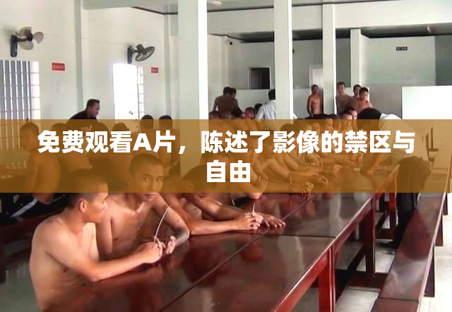 免费观看A片，陈述了影像的禁区与自由
