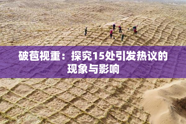 破苞视重：探究15处引发热议的现象与影响