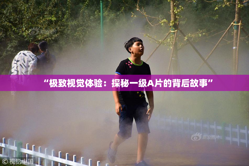 “极致视觉体验：探秘一级A片的背后故事”