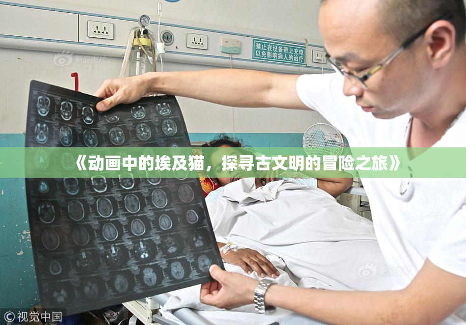 《动画中的埃及猫，探寻古文明的冒险之旅》