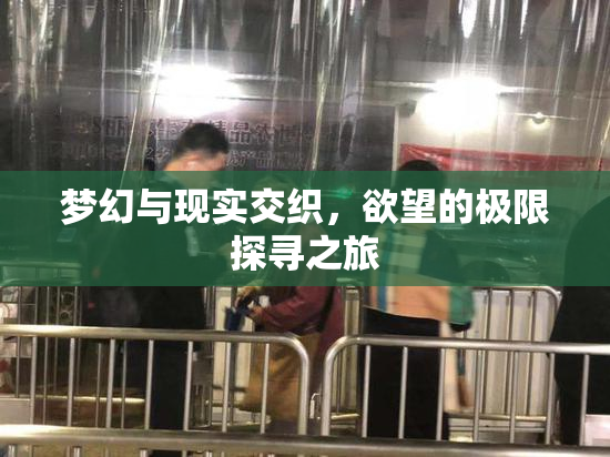 梦幻与现实交织，欲望的极限探寻之旅