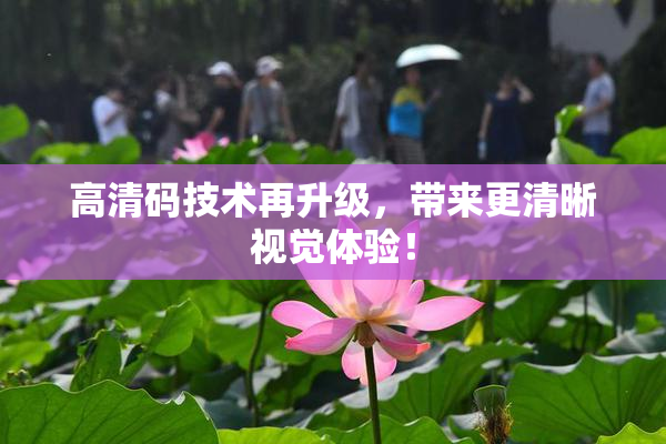 高清码技术再升级，带来更清晰视觉体验！