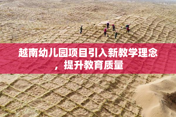 越南幼儿园项目引入新教学理念，提升教育质量