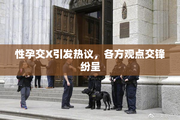 性孕交X引发热议，各方观点交锋纷呈