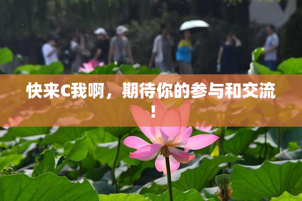 快来C我啊，期待你的参与和交流！
