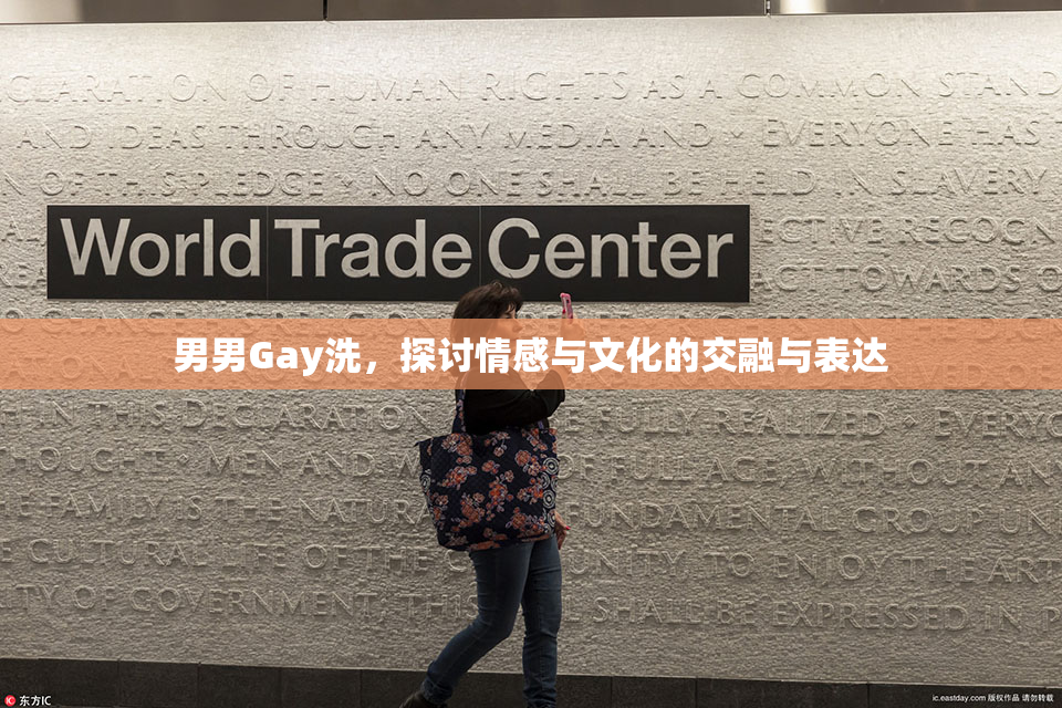 男男Gay洗，探讨情感与文化的交融与表达