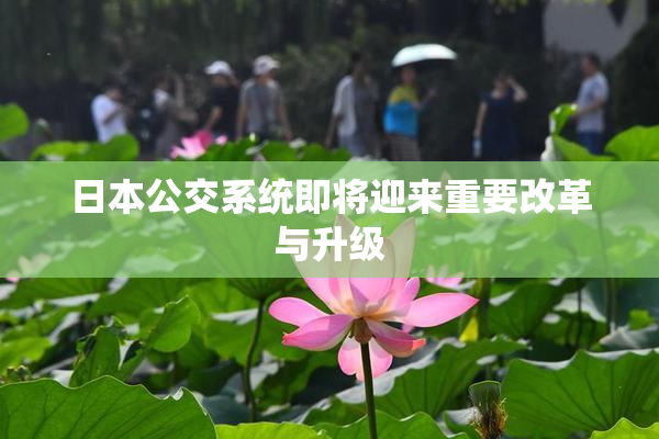 日本公交系统即将迎来重要改革与升级
