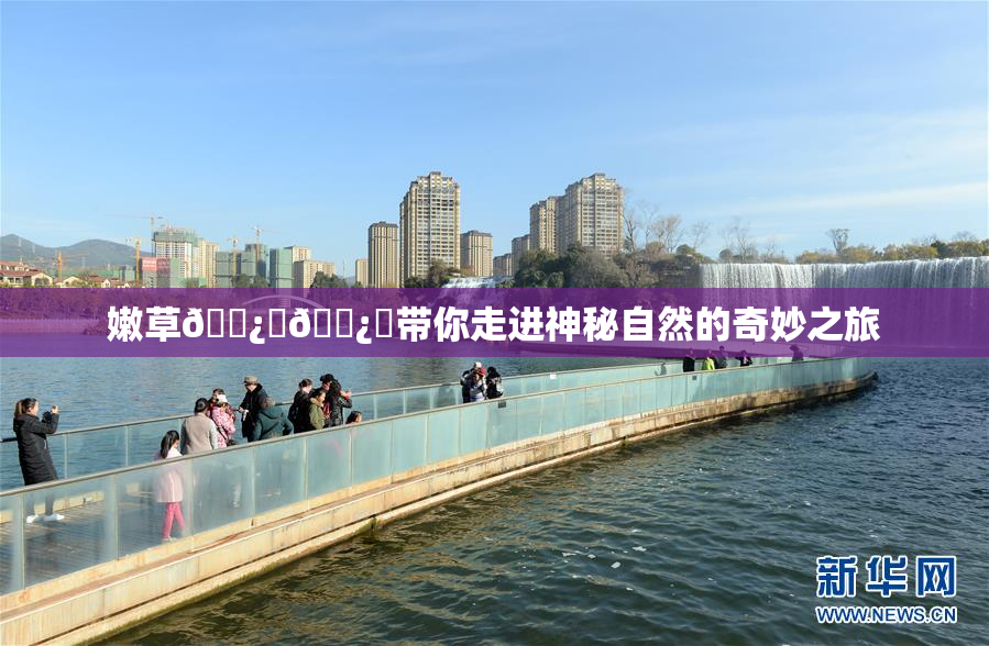 嫩草🌿‌🌿‌带你走进神秘自然的奇妙之旅