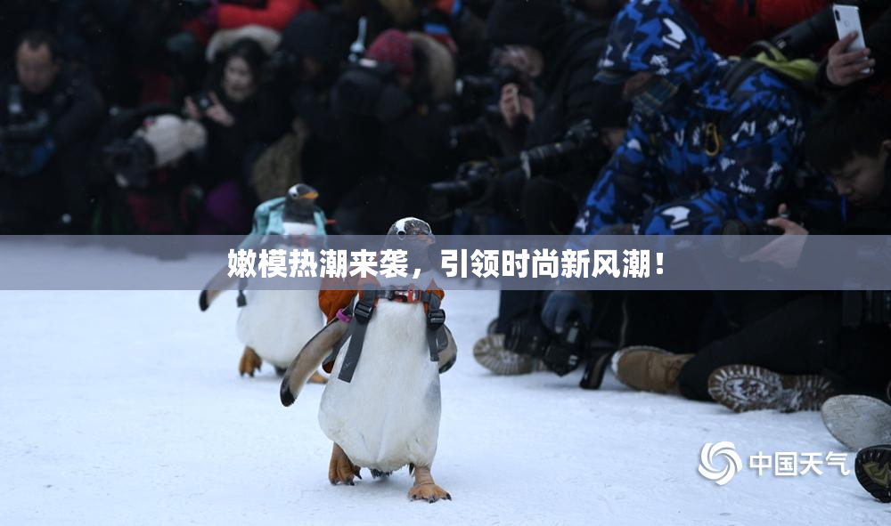 嫩模热潮来袭，引领时尚新风潮！