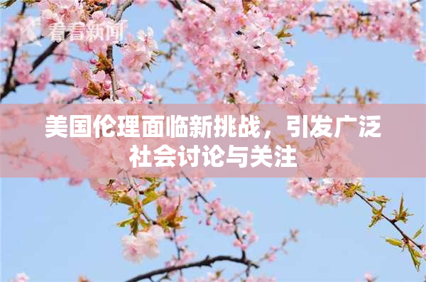 美国伦理面临新挑战，引发广泛社会讨论与关注