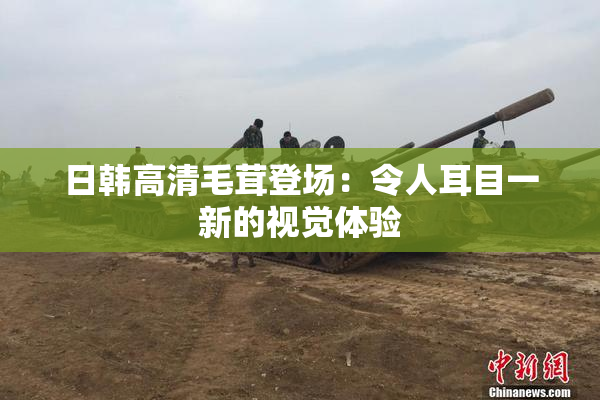 日韩高清毛茸登场：令人耳目一新的视觉体验