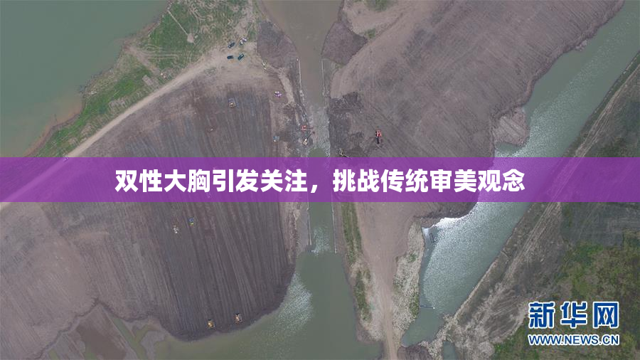双性大胸引发关注，挑战传统审美观念