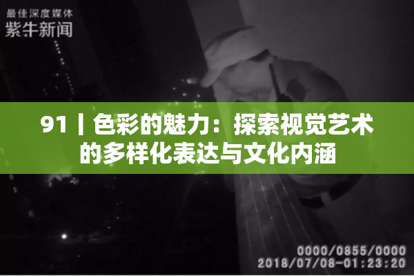 91丨色彩的魅力：探索视觉艺术的多样化表达与文化内涵
