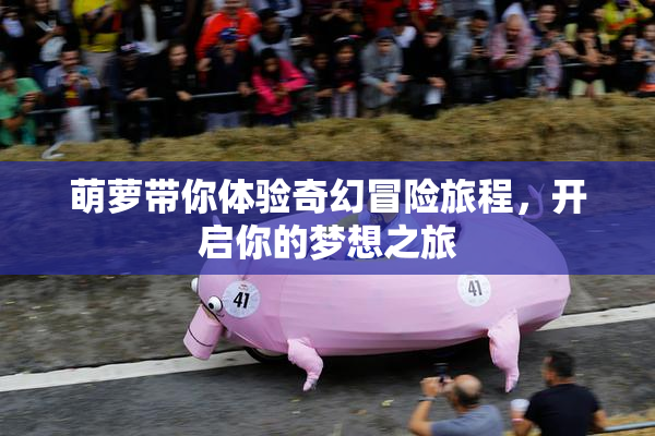 萌萝带你体验奇幻冒险旅程，开启你的梦想之旅