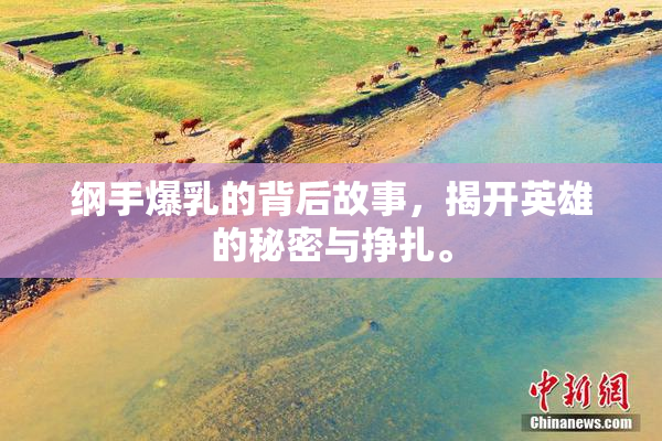 纲手爆乳的背后故事，揭开英雄的秘密与挣扎。
