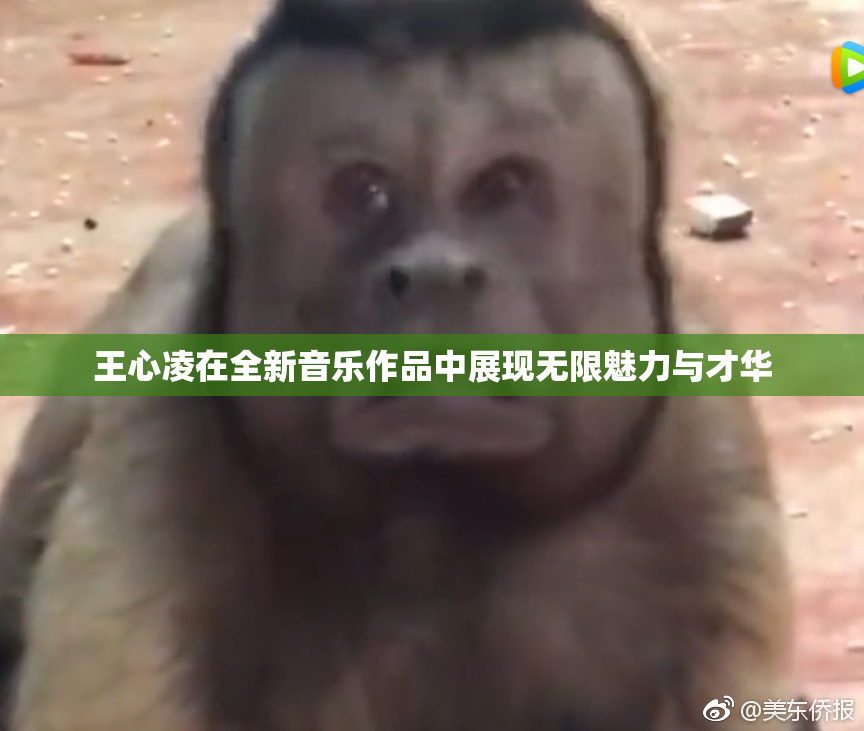 王心凌在全新音乐作品中展现无限魅力与才华