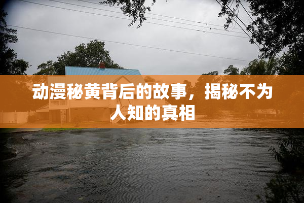 动漫秘黄背后的故事，揭秘不为人知的真相