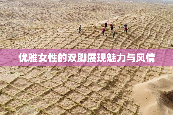 优雅女性的双脚展现魅力与风情