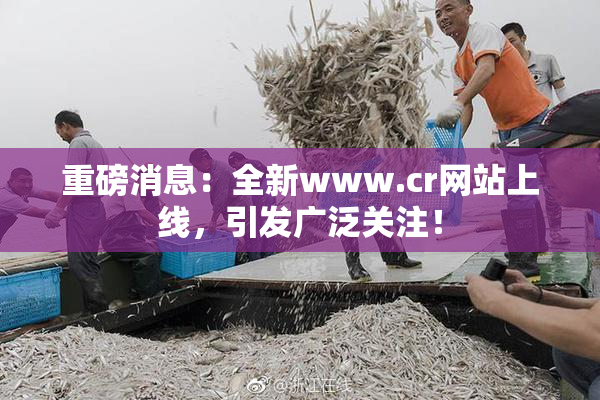 重磅消息：全新www.cr网站上线，引发广泛关注！