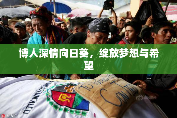 博人深情向日葵，绽放梦想与希望