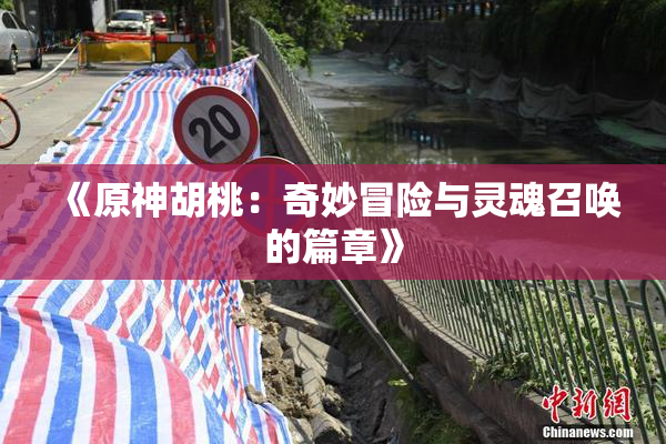 《原神胡桃：奇妙冒险与灵魂召唤的篇章》