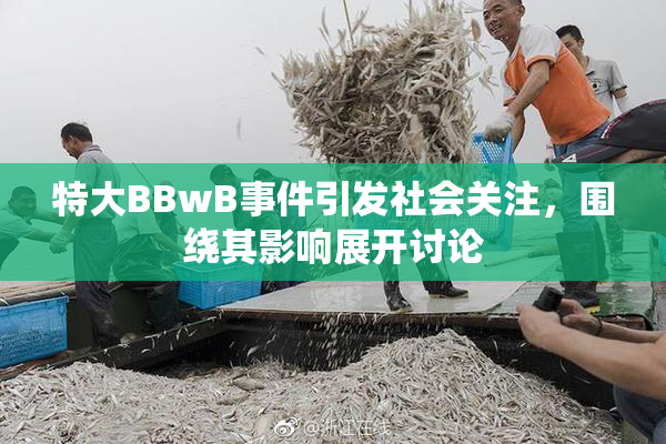 特大BBwB事件引发社会关注，围绕其影响展开讨论