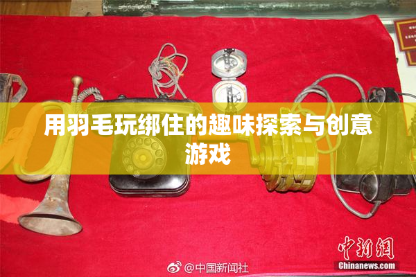 用羽毛玩绑住的趣味探索与创意游戏