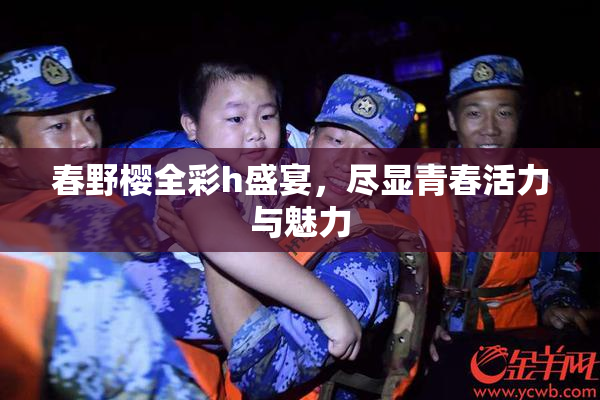 春野樱全彩h盛宴，尽显青春活力与魅力