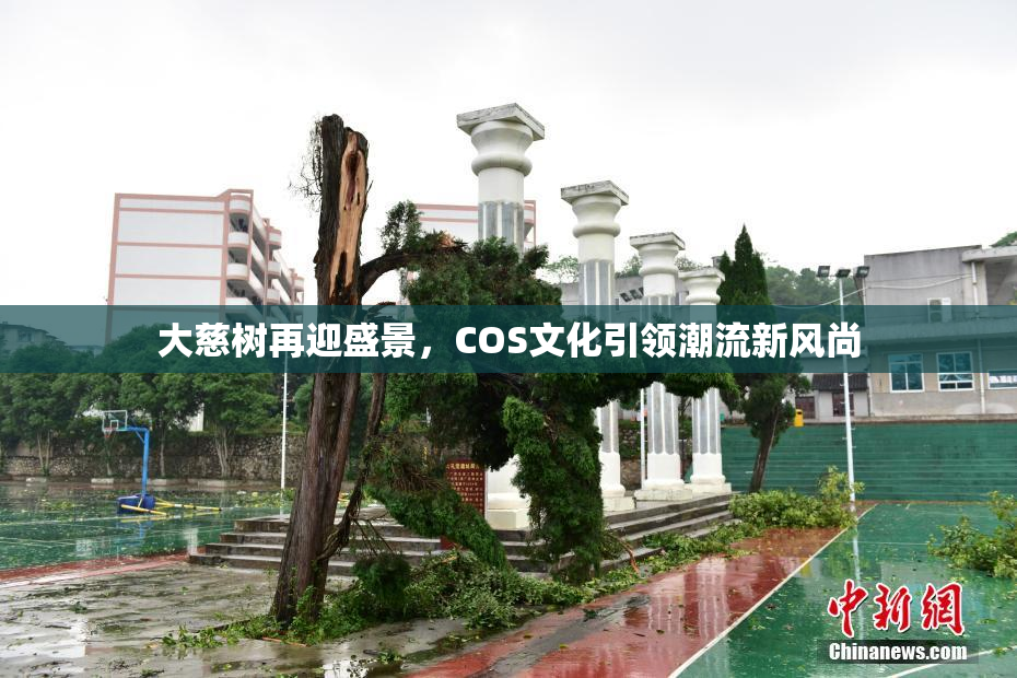 大慈树再迎盛景，COS文化引领潮流新风尚