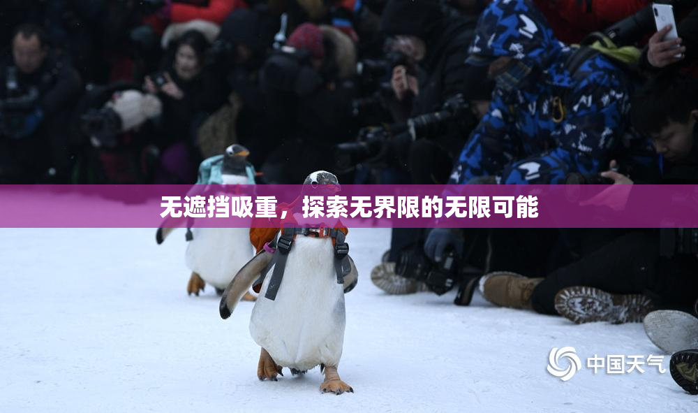 无遮挡吸重，探索无界限的无限可能