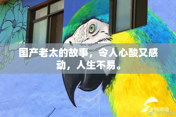 国产老太的故事，令人心酸又感动，人生不易。