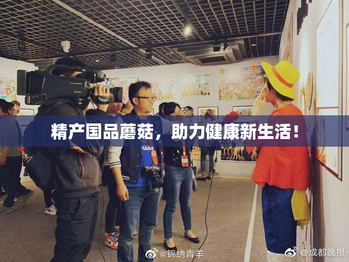 精产国品蘑菇，助力健康新生活！