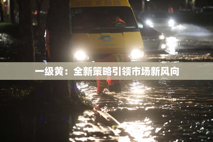 一级黄：全新策略引领市场新风向