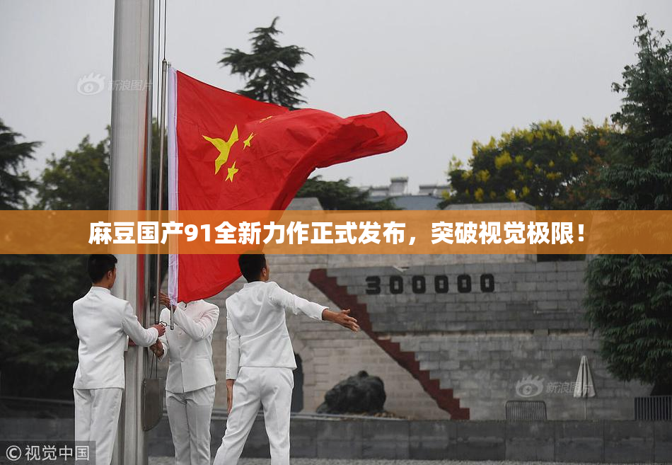 麻豆国产91全新力作正式发布，突破视觉极限！