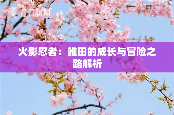 火影忍者：雏田的成长与冒险之路解析