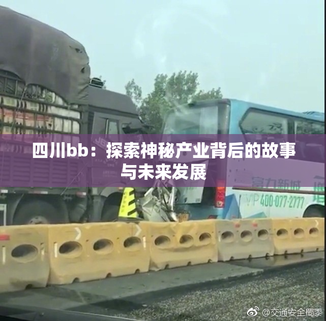 四川bb：探索神秘产业背后的故事与未来发展