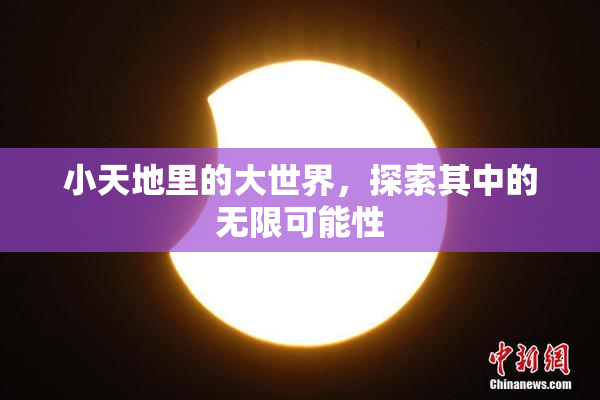 小天地里的大世界，探索其中的无限可能性